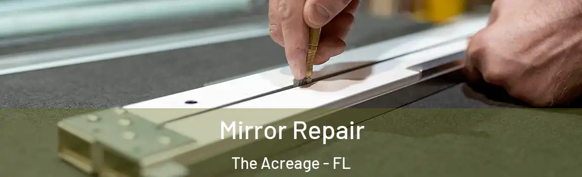Mirror Repair The Acreage - FL